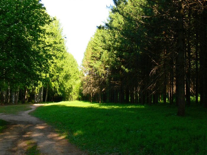 Дендропарк лесоводов Кировской области - Парки, скверы
